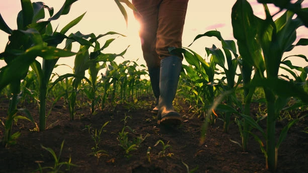 Agriculture and Agribusiness Short Courses