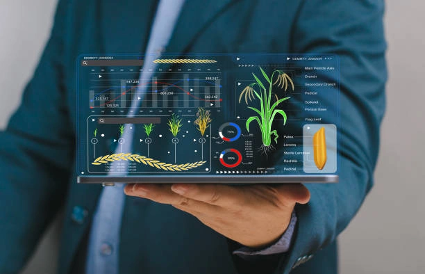 Training on Leveraging Big Data for Agricultural Policy