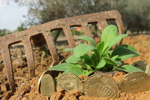 De-Risking Agricultural Investments Training Course